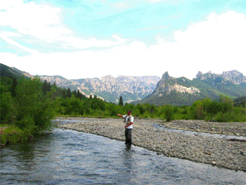 Fly Fishing a Colorado Gem: The Uncompahgre River - Fly Fisherman